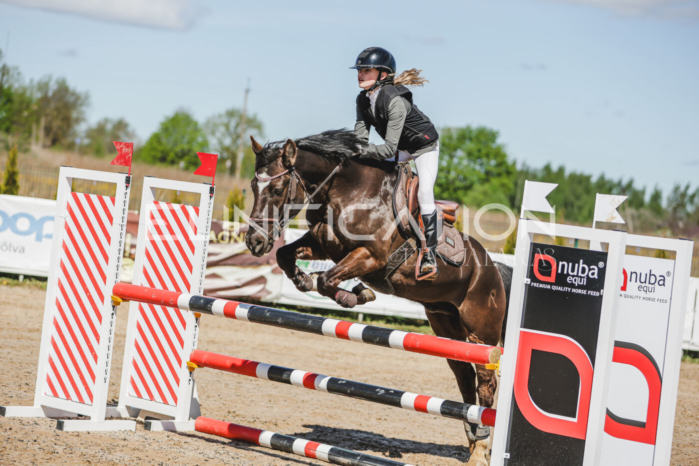 Gramina_Kevad_2026_90_004