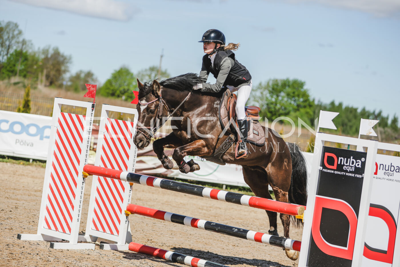 Gramina_Kevad_2026_90_005