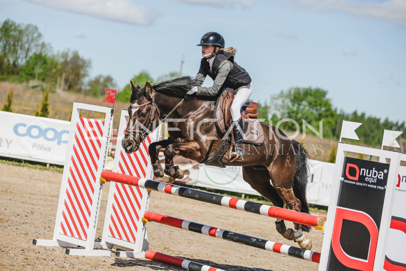 Gramina_Kevad_2026_90_006
