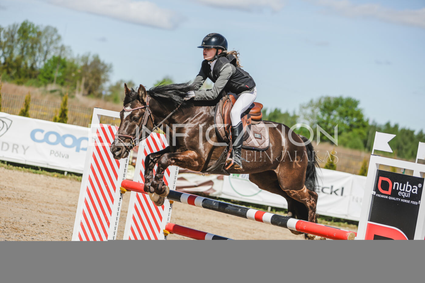 Gramina_Kevad_2026_90_007