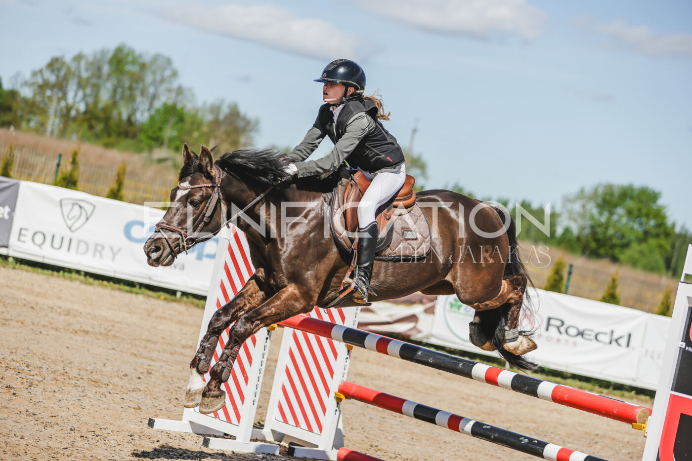 Gramina_Kevad_2026_90_009