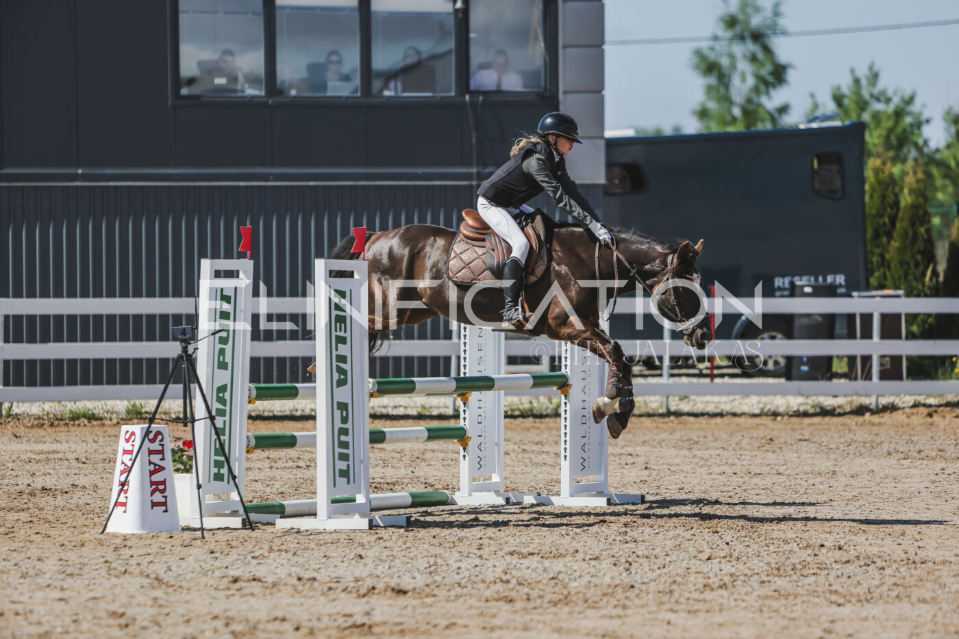 Gramina_Kevad_2026_90_011