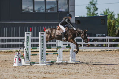 Gramina_Kevad_2026_90_011