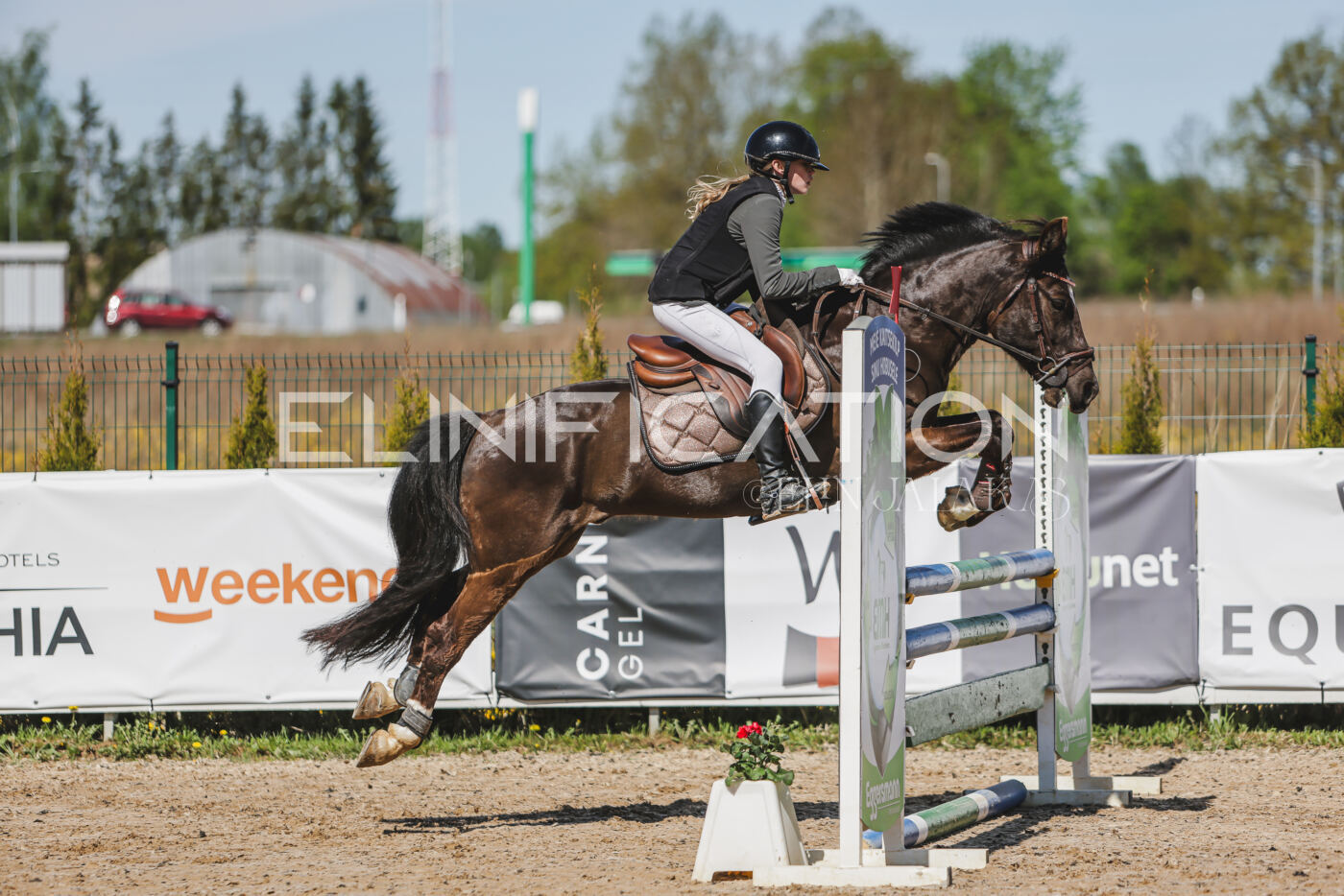 Gramina_Kevad_2026_90_012