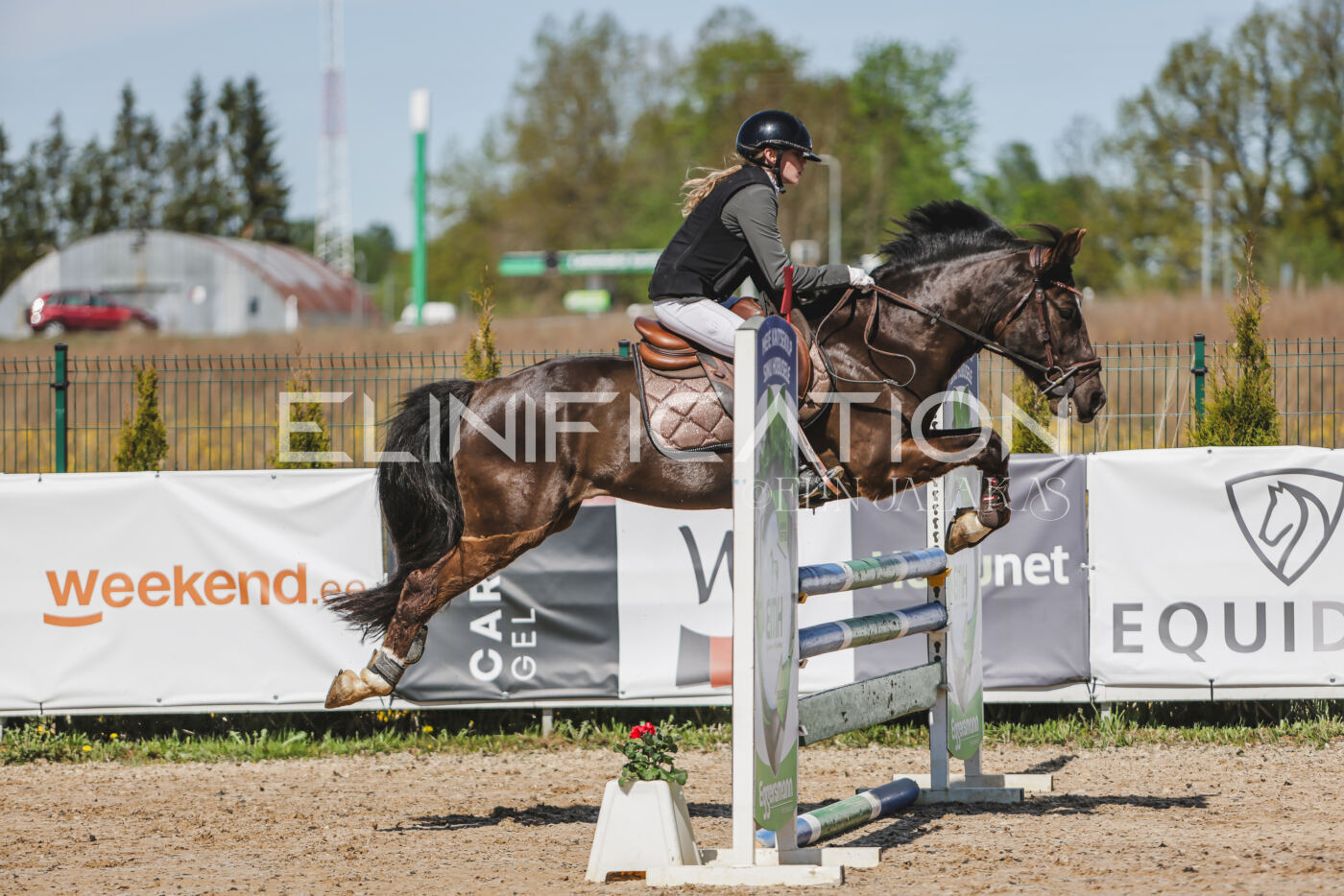 Gramina_Kevad_2026_90_013