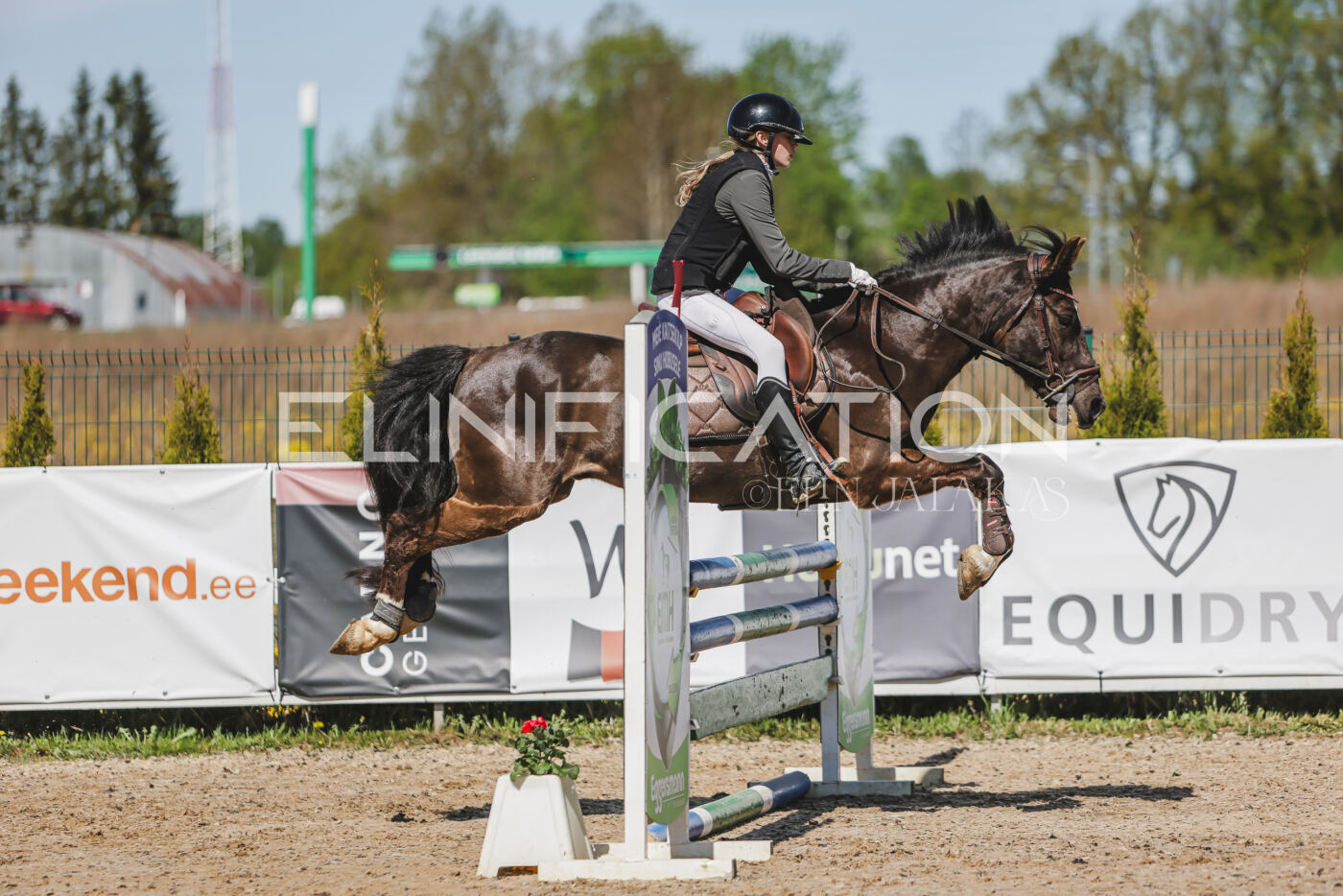 Gramina_Kevad_2026_90_014