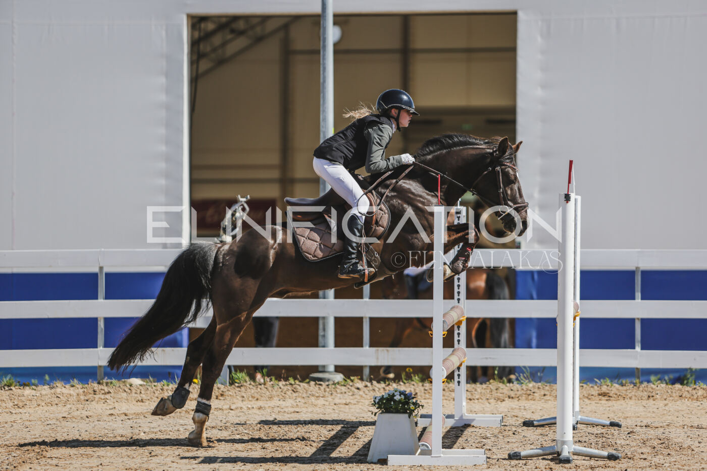 Gramina_Kevad_2026_90_016