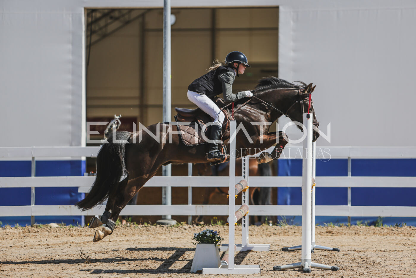 Gramina_Kevad_2026_90_017