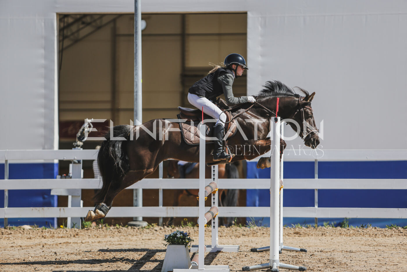 Gramina_Kevad_2026_90_018