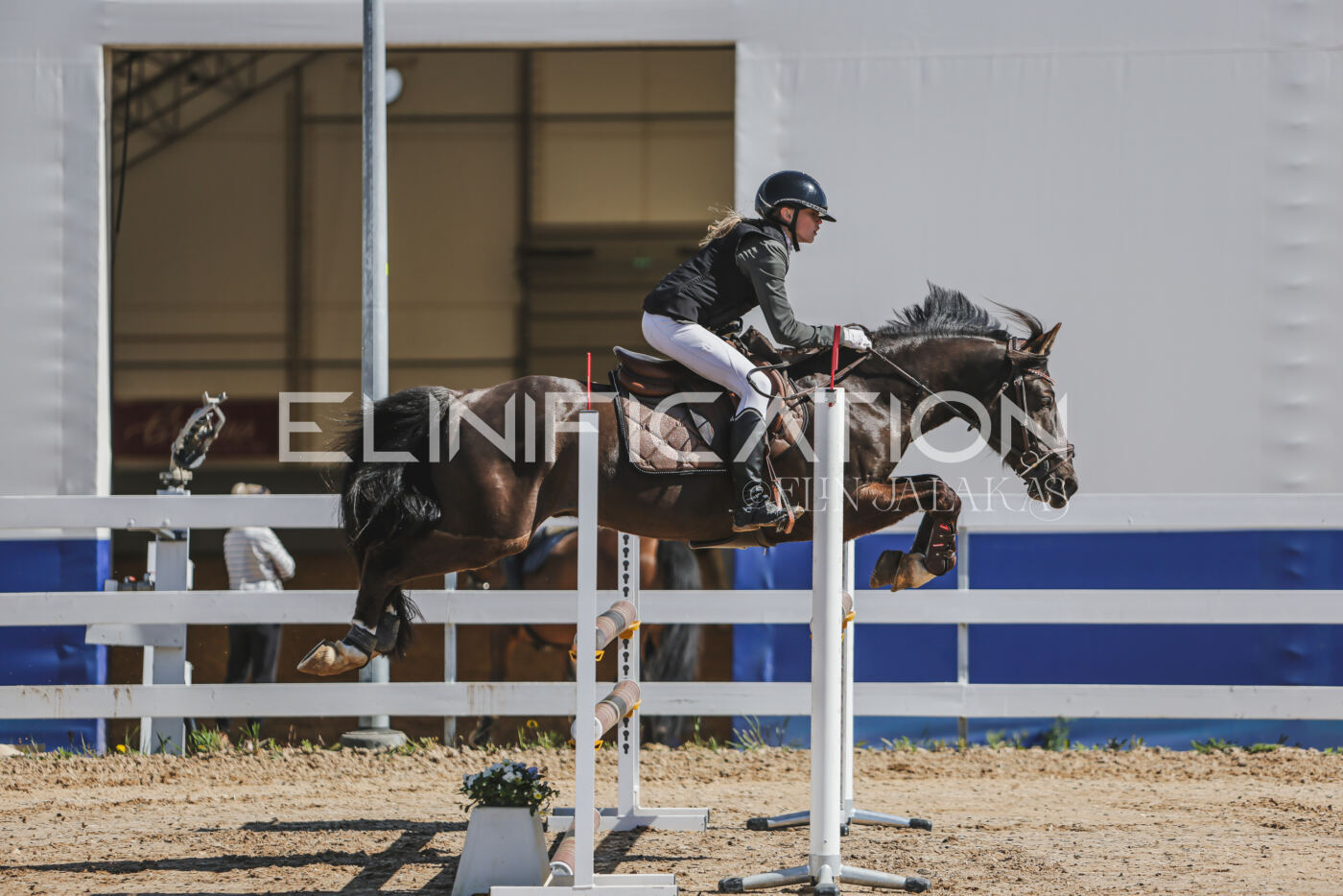 Gramina_Kevad_2026_90_019