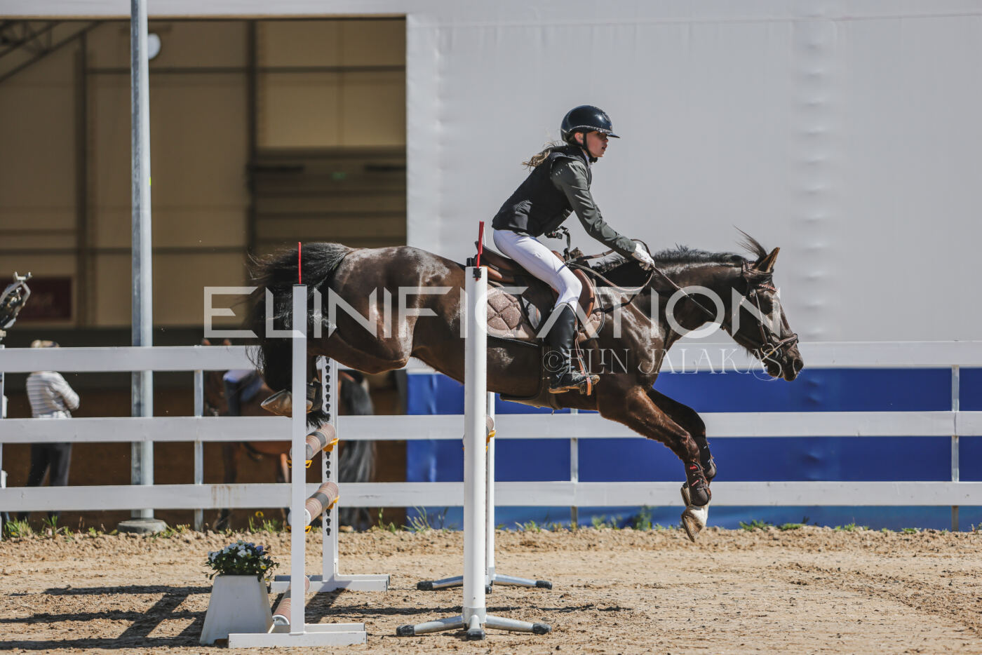 Gramina_Kevad_2026_90_021