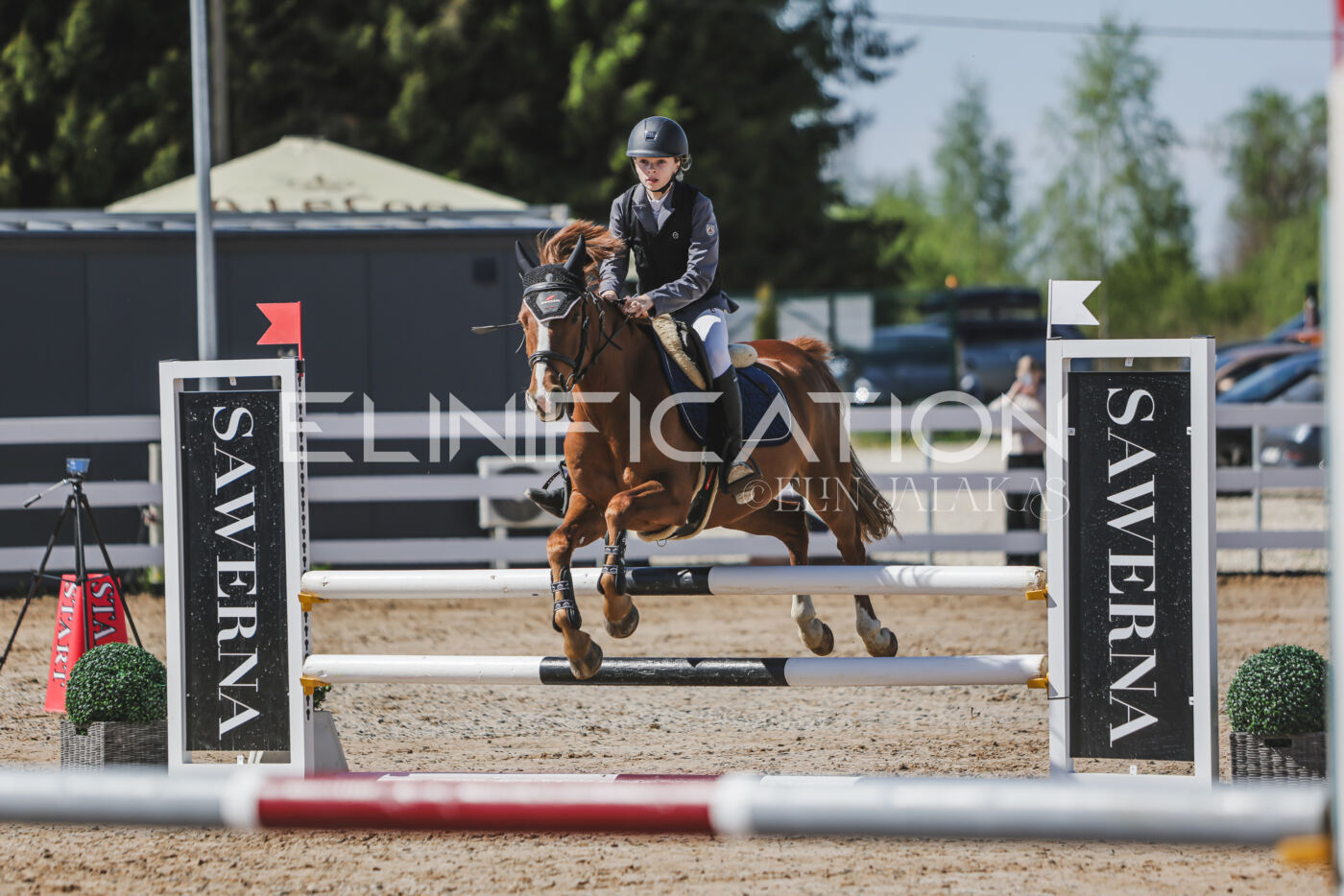 Gramina_Kevad_2026_90_023