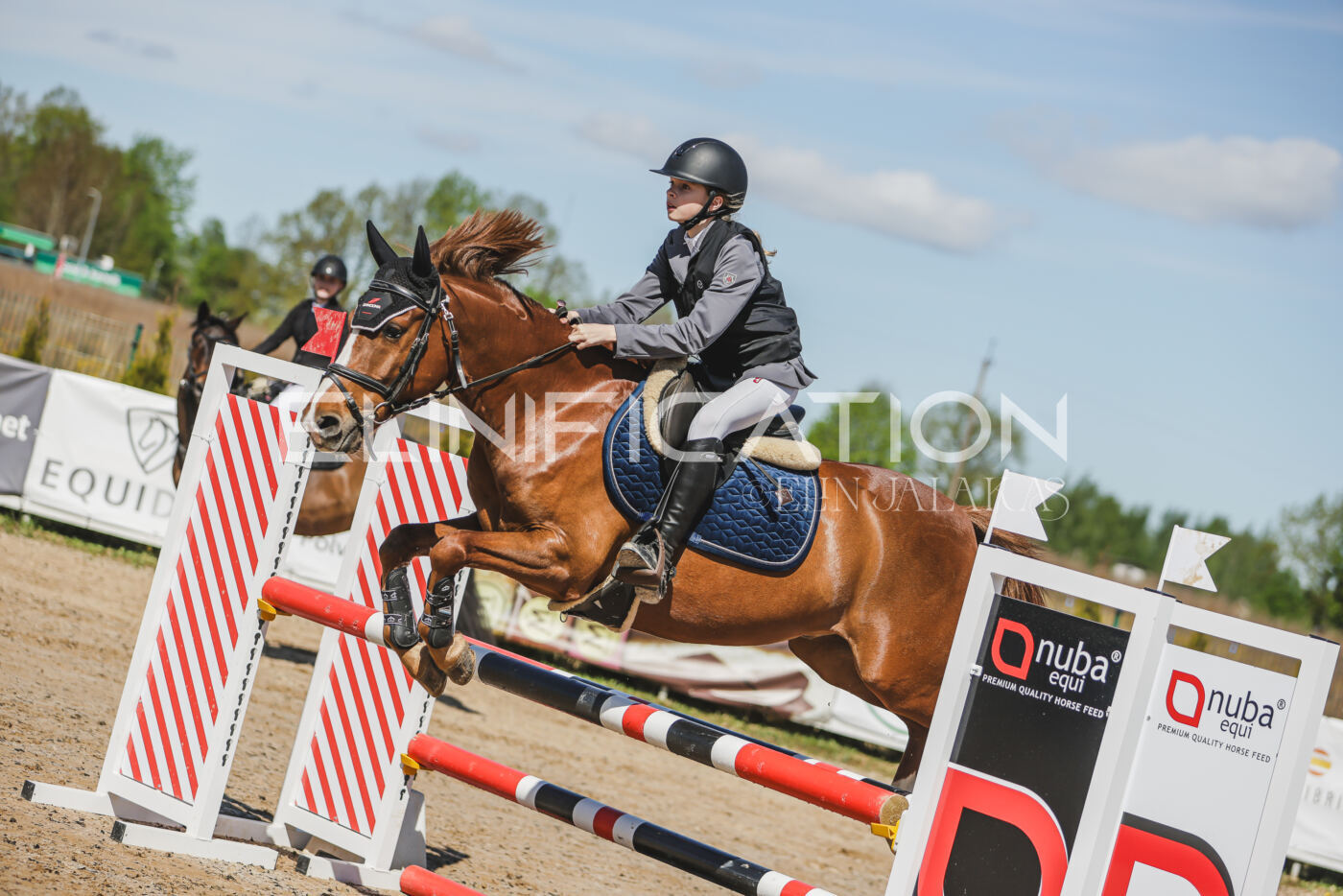 Gramina_Kevad_2026_90_026