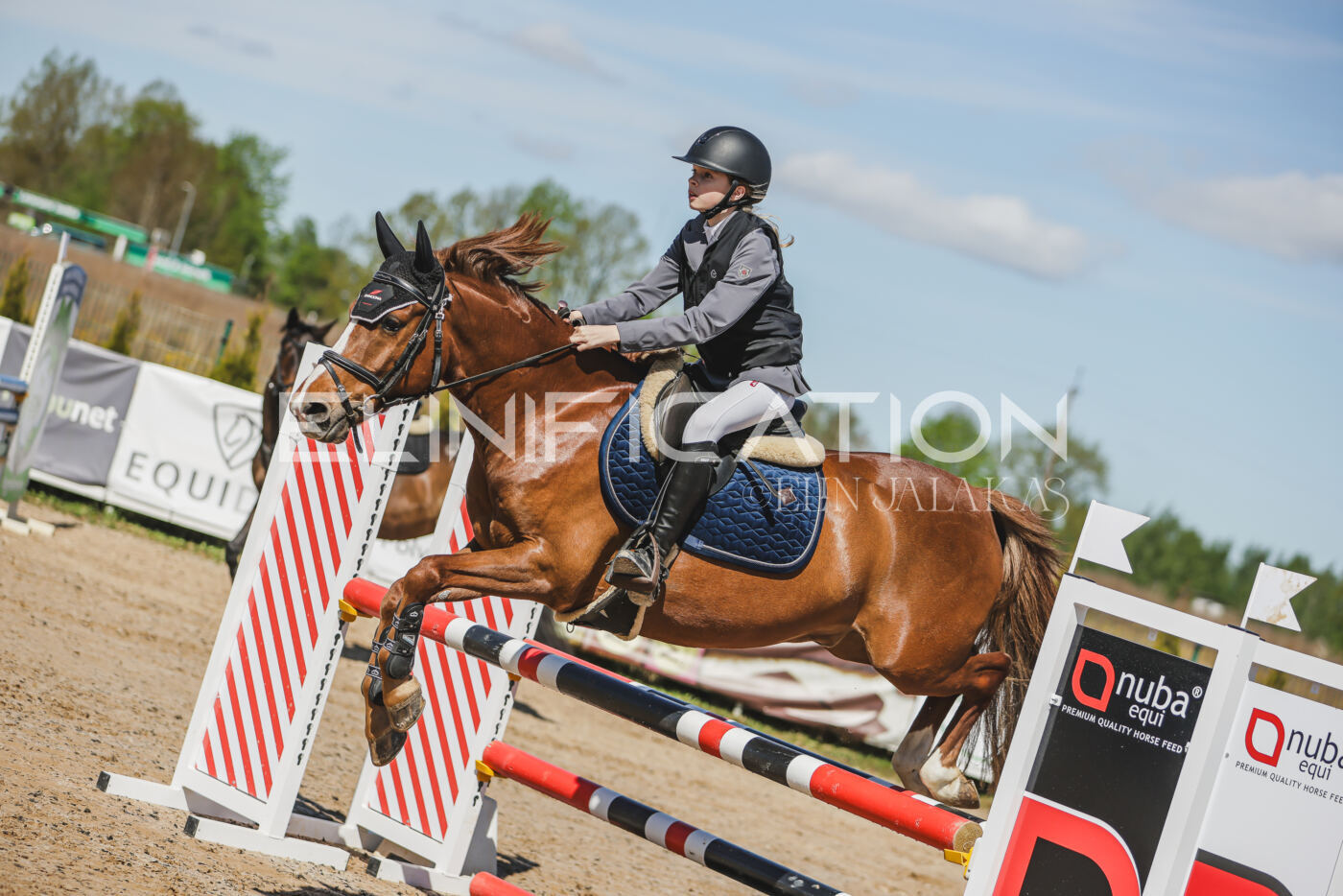 Gramina_Kevad_2026_90_027