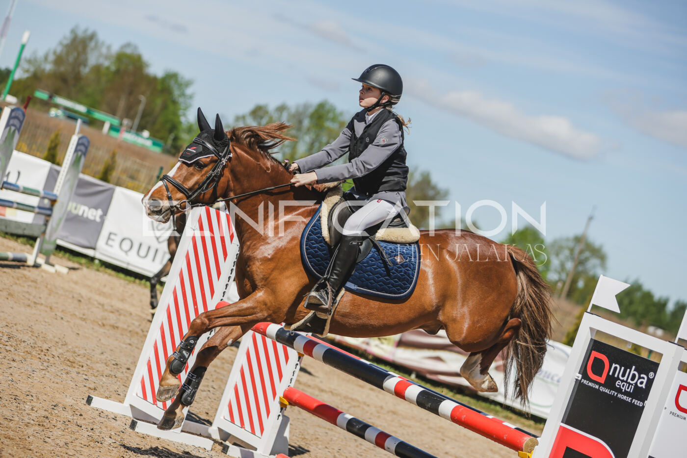 Gramina_Kevad_2026_90_028