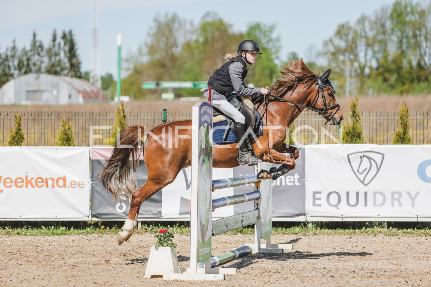 Gramina_Kevad_2026_90_033