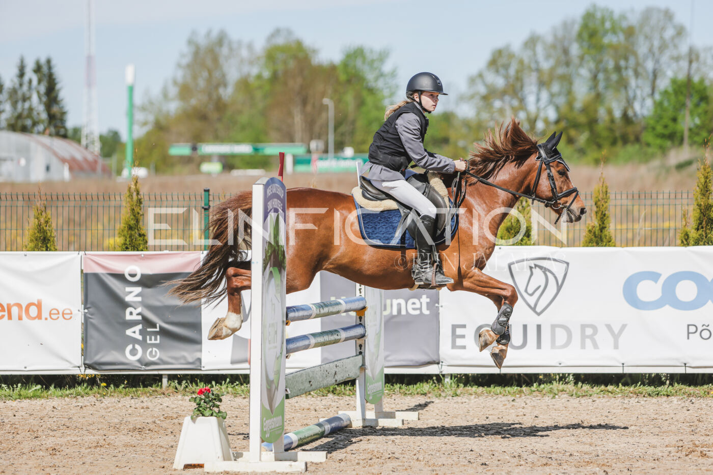 Gramina_Kevad_2026_90_035