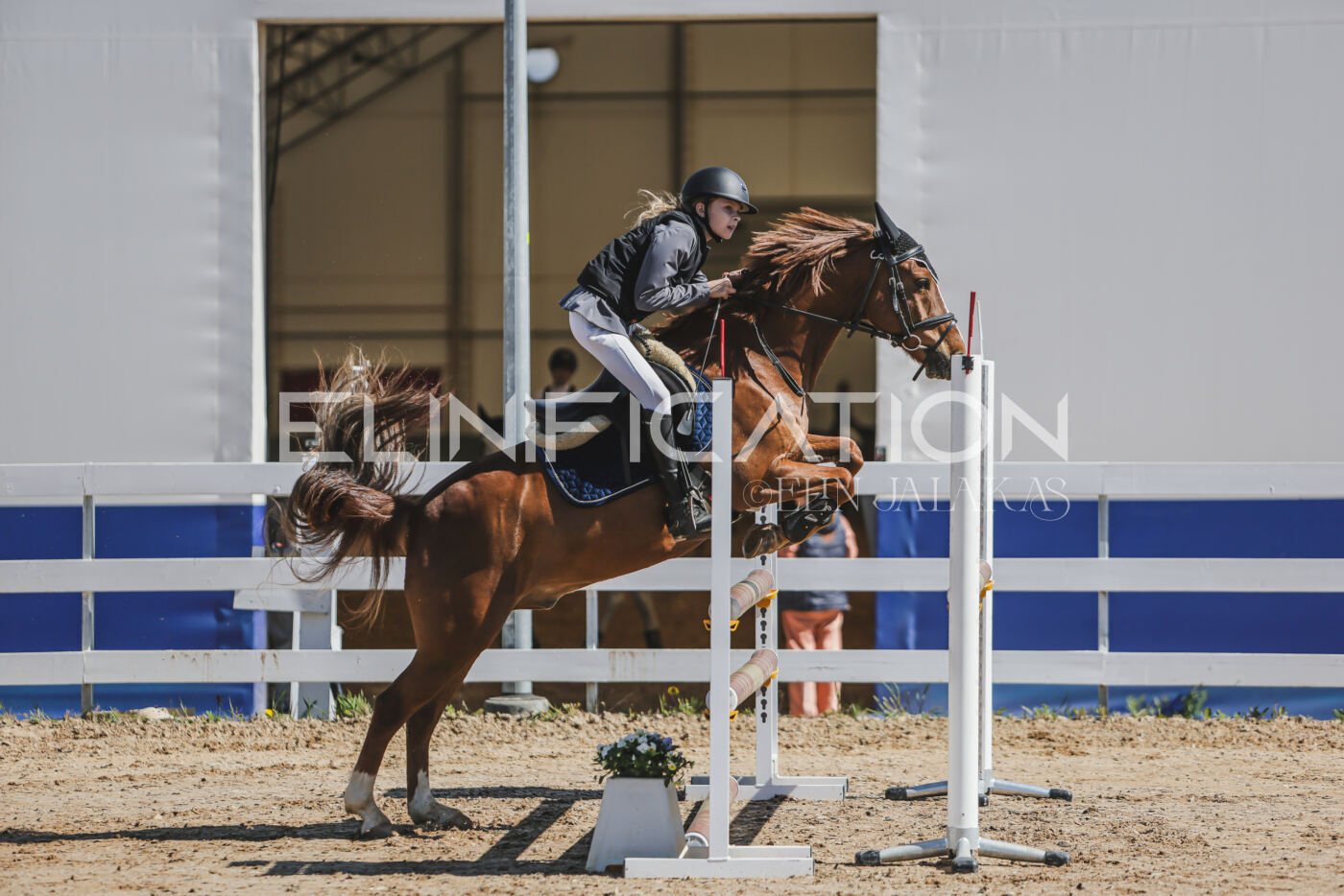 Gramina_Kevad_2026_90_036