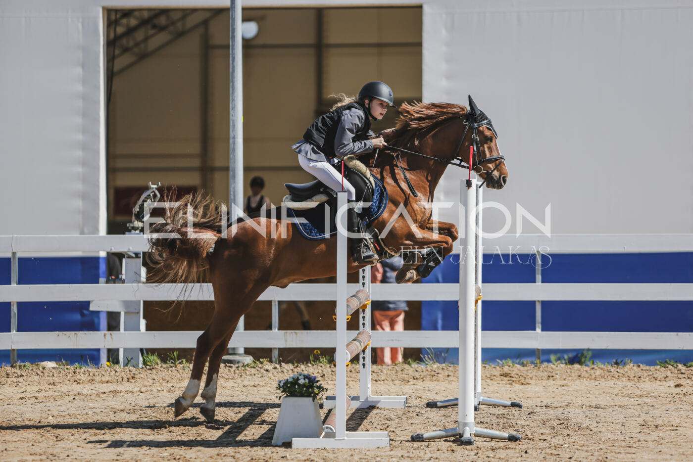 Gramina_Kevad_2026_90_037