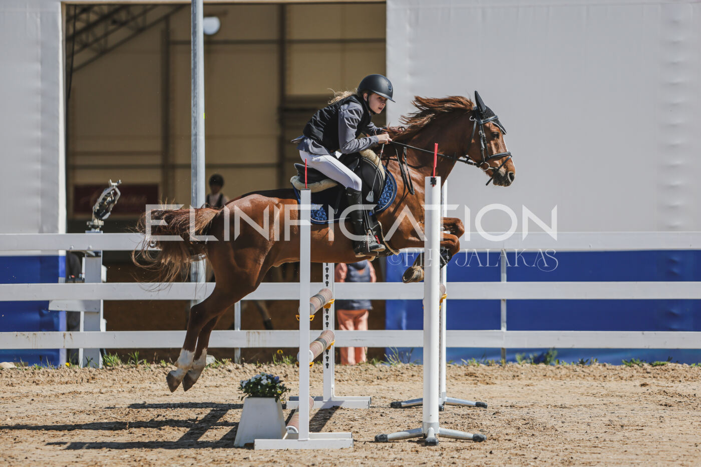 Gramina_Kevad_2026_90_038