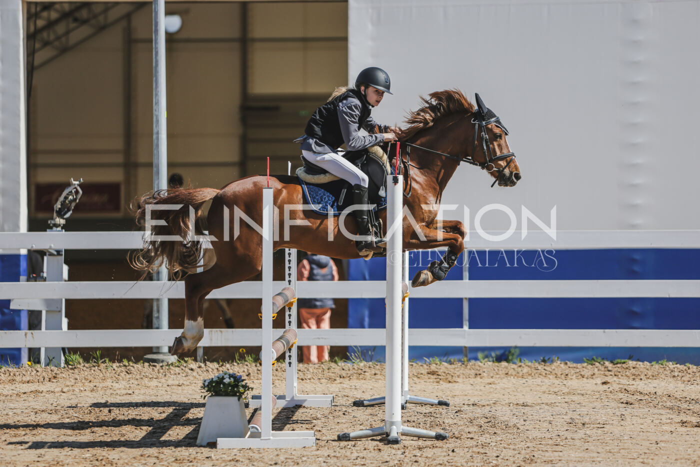 Gramina_Kevad_2026_90_039