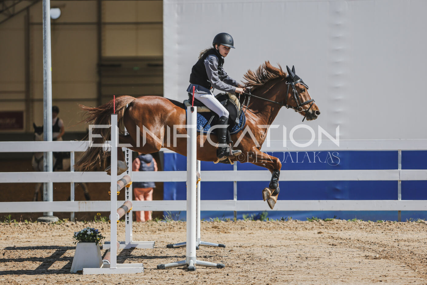 Gramina_Kevad_2026_90_041