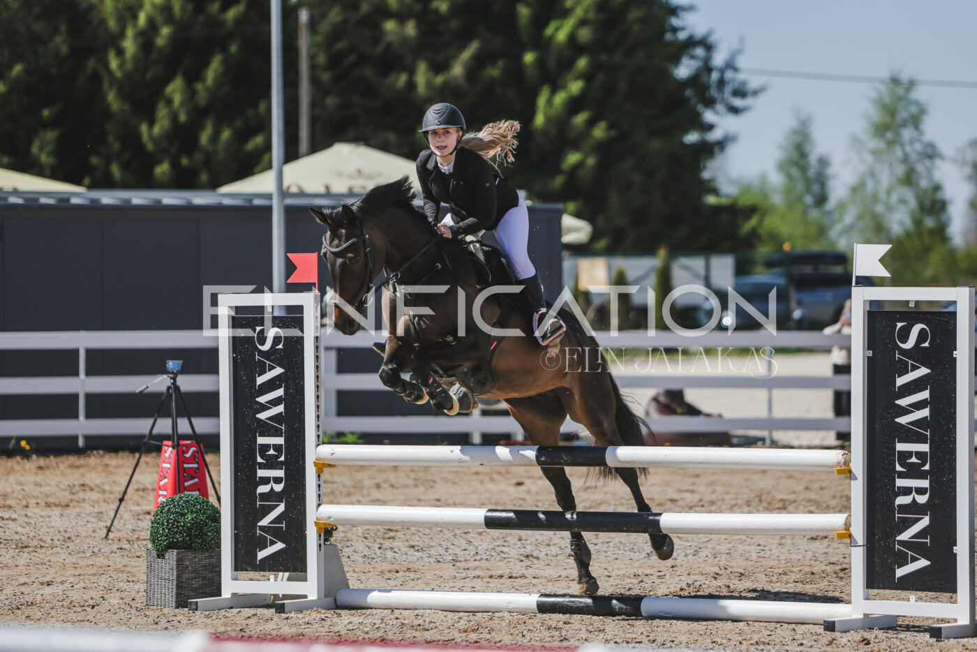 Gramina_Kevad_2026_90_042