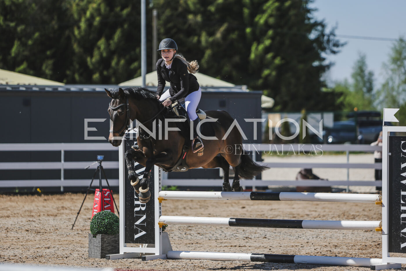 Gramina_Kevad_2026_90_045