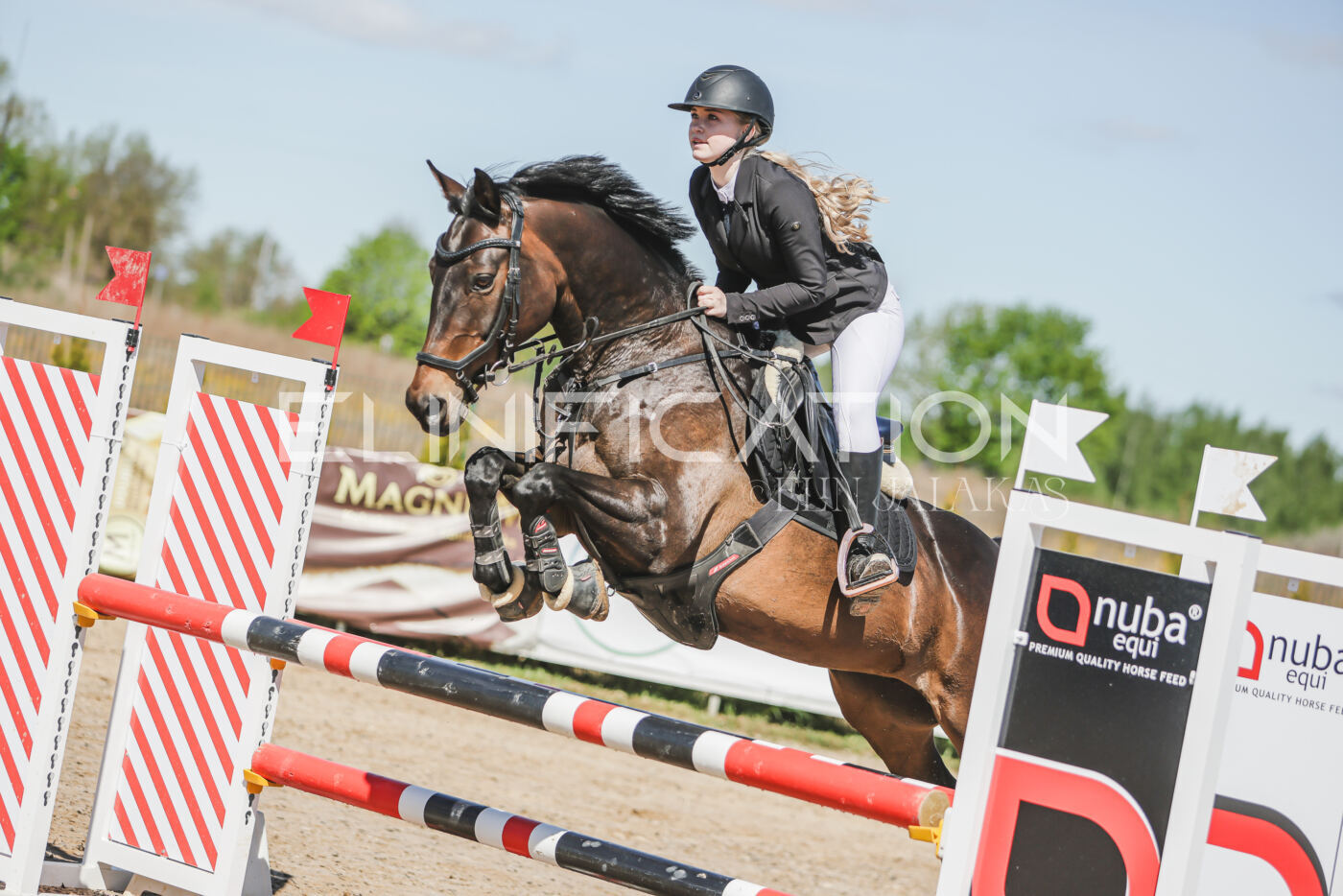 Gramina_Kevad_2026_90_047