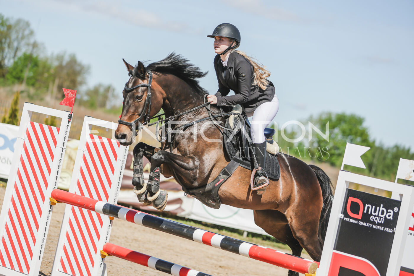 Gramina_Kevad_2026_90_048