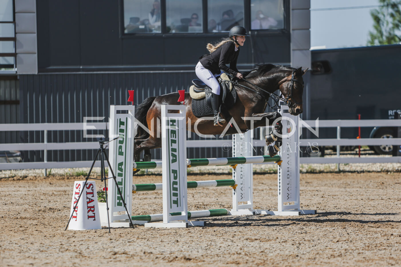 Gramina_Kevad_2026_90_053