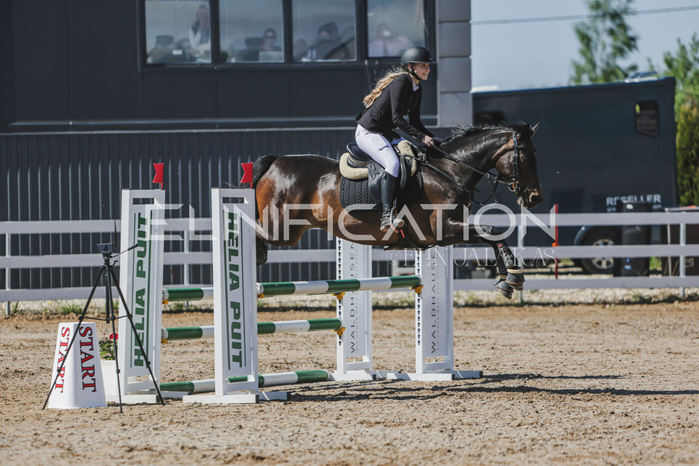 Gramina_Kevad_2026_90_055