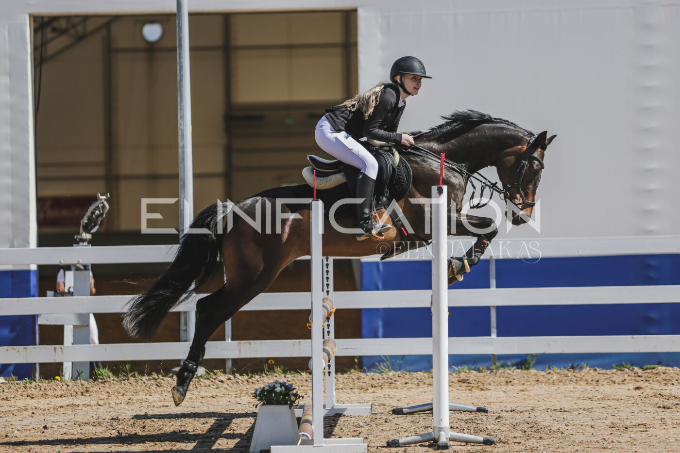 Gramina_Kevad_2026_90_060