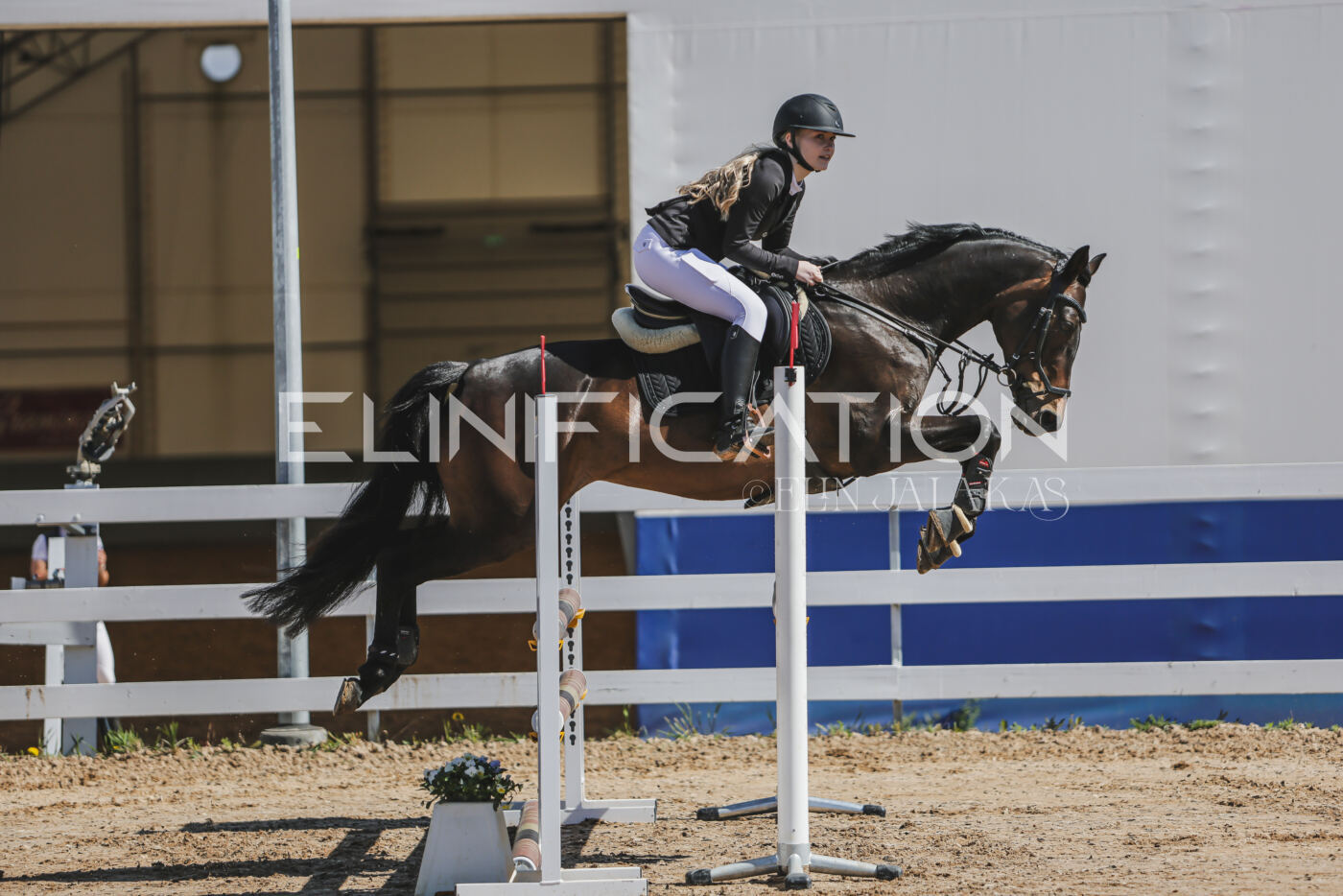 Gramina_Kevad_2026_90_061