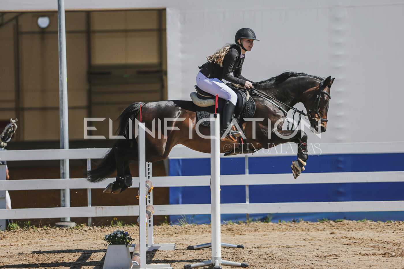 Gramina_Kevad_2026_90_062
