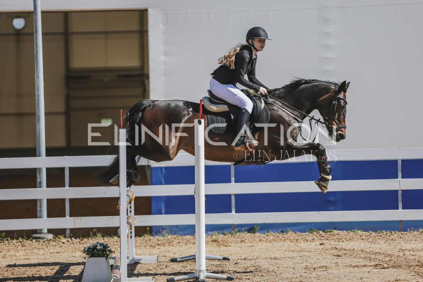 Gramina_Kevad_2026_90_063