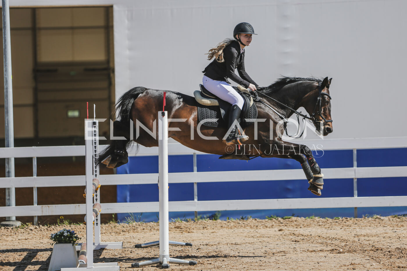 Gramina_Kevad_2026_90_064
