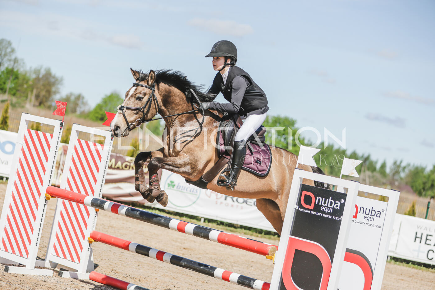 Gramina_Kevad_2026_90_072