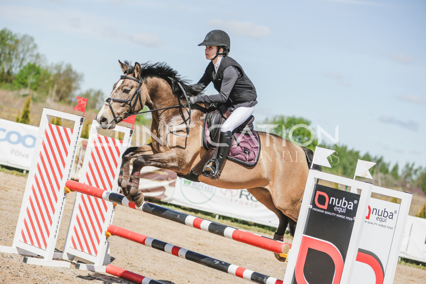 Gramina_Kevad_2026_90_073