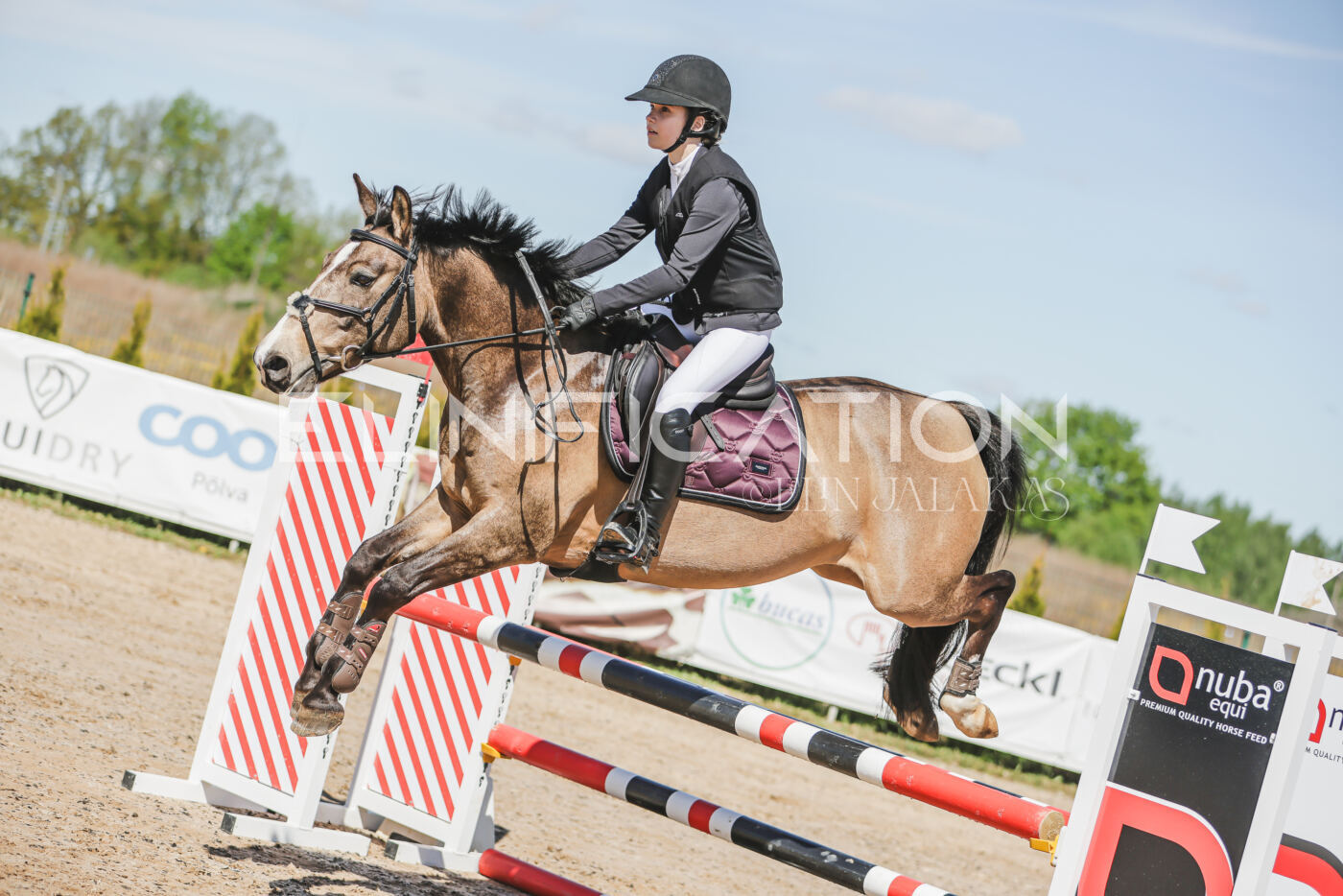 Gramina_Kevad_2026_90_075