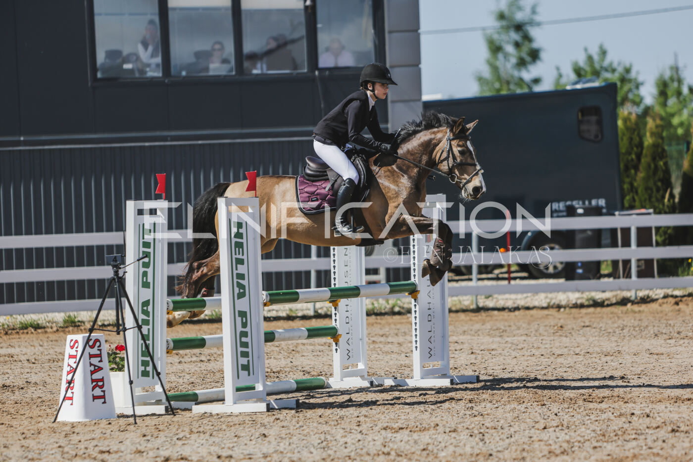 Gramina_Kevad_2026_90_078