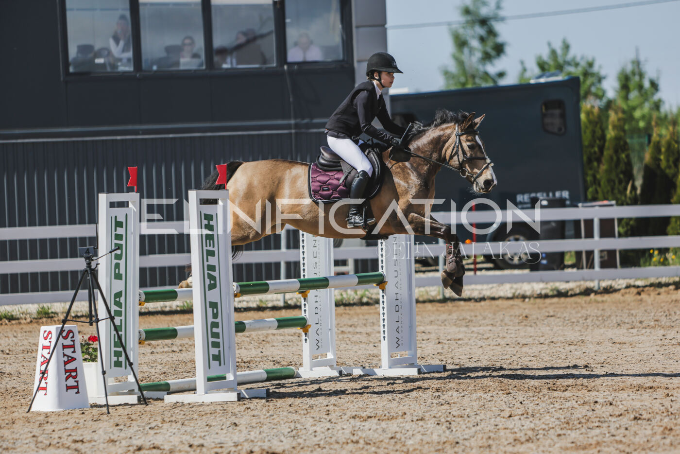 Gramina_Kevad_2026_90_079