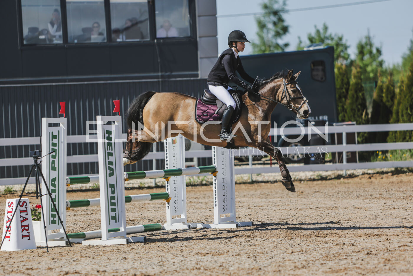 Gramina_Kevad_2026_90_080
