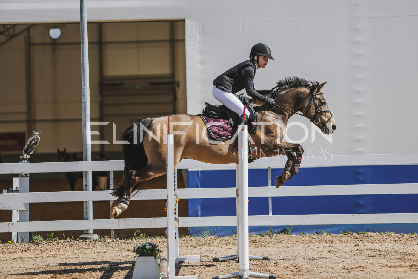 Gramina_Kevad_2026_90_084