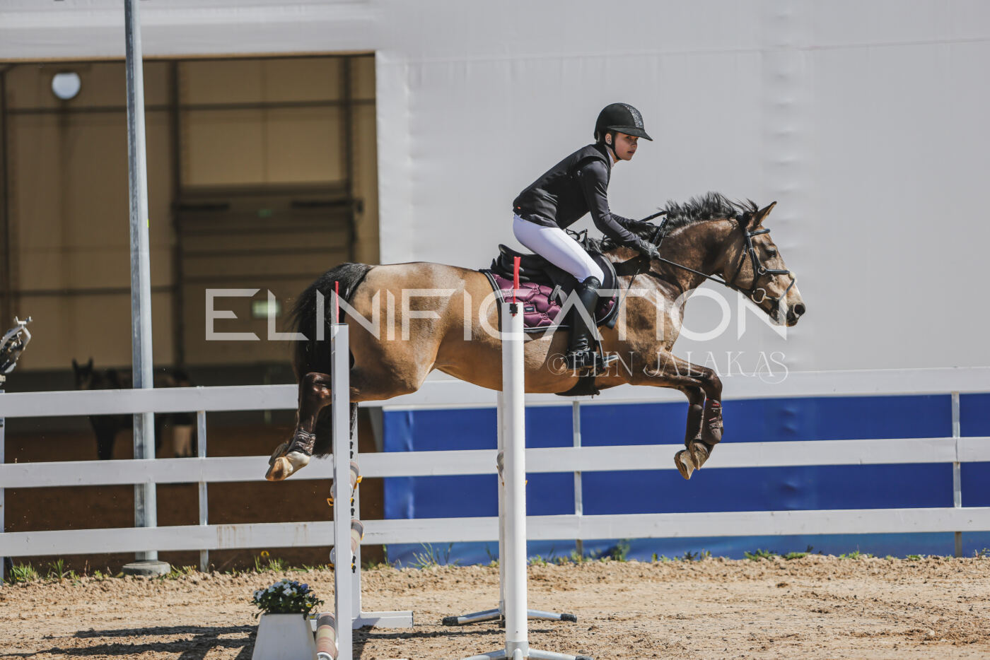 Gramina_Kevad_2026_90_085