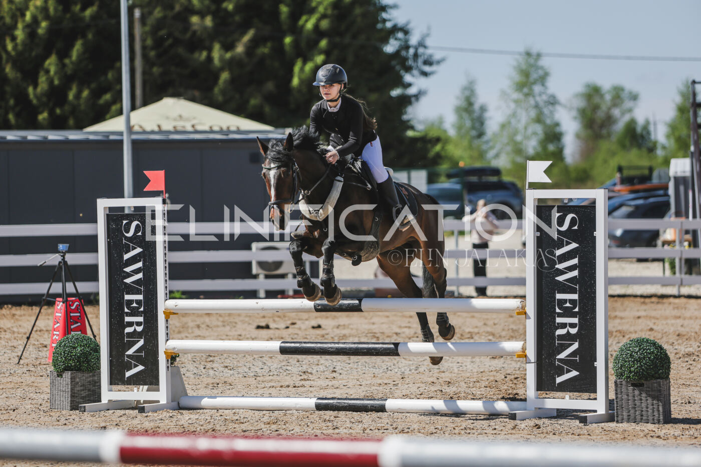Gramina_Kevad_2026_90_089