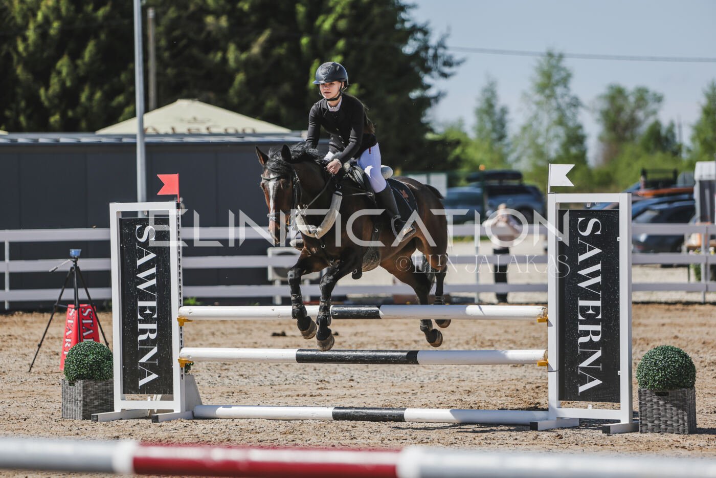 Gramina_Kevad_2026_90_090