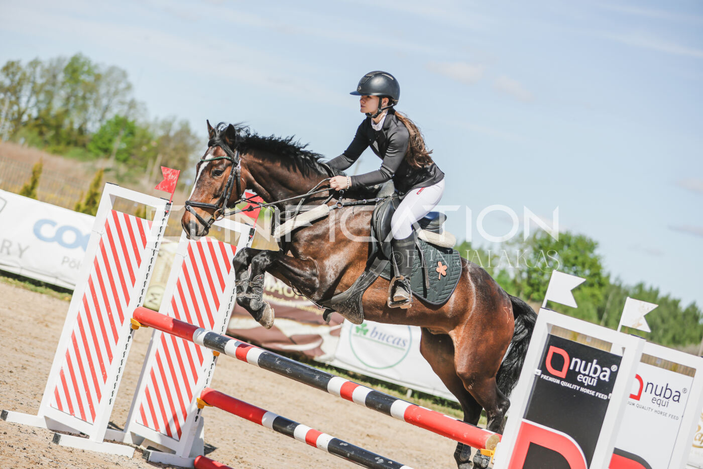Gramina_Kevad_2026_90_093