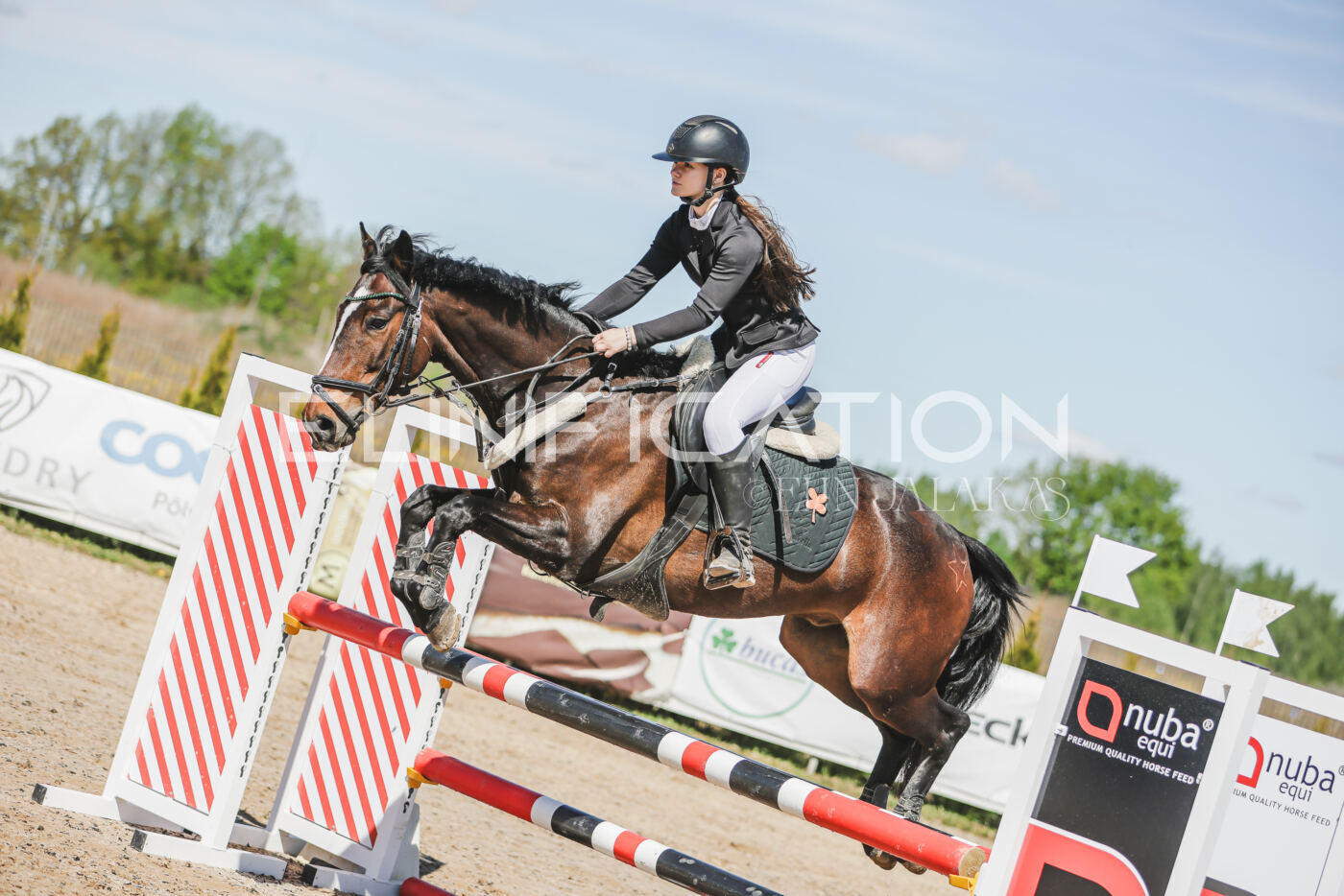 Gramina_Kevad_2026_90_094