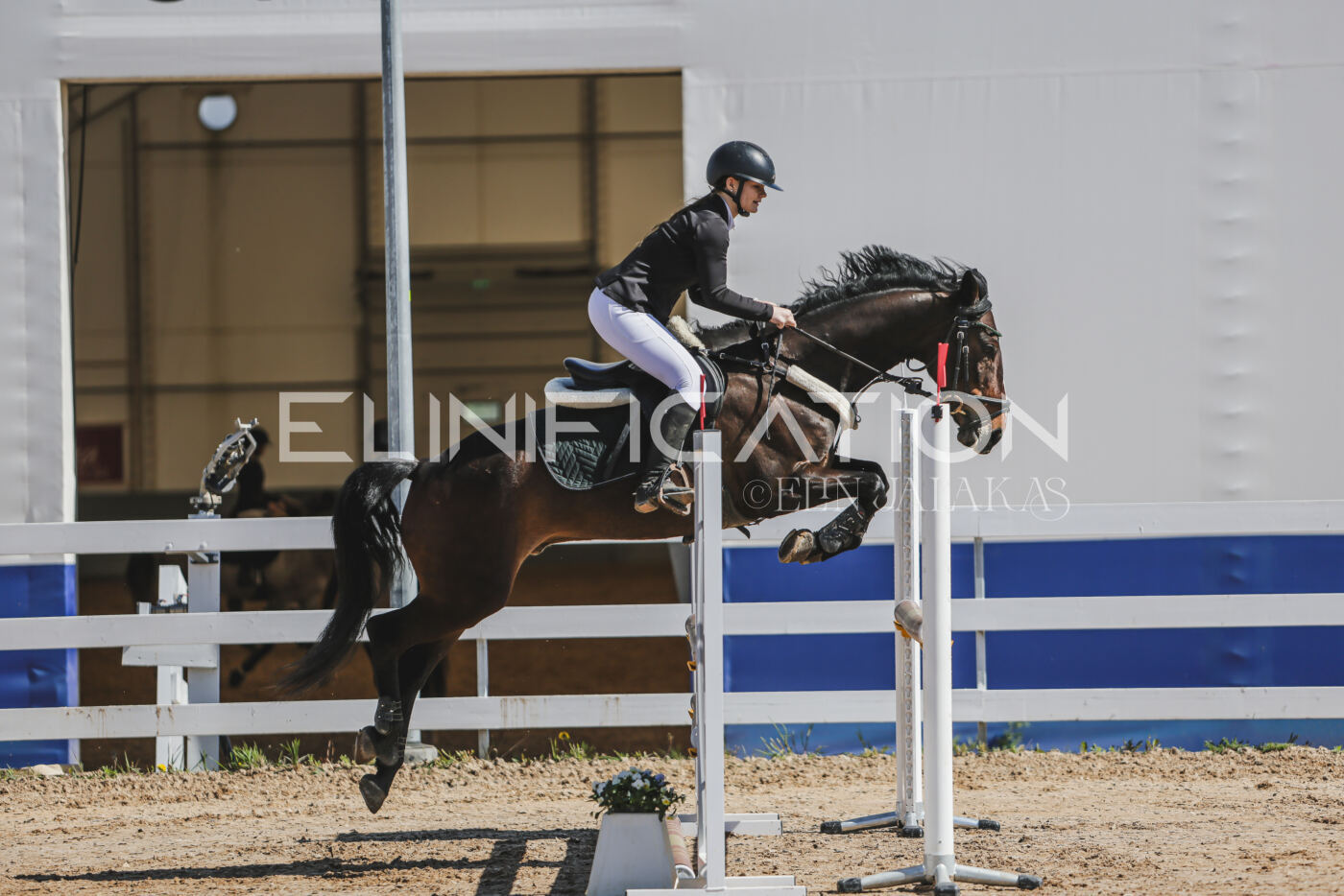 Gramina_Kevad_2026_90_102
